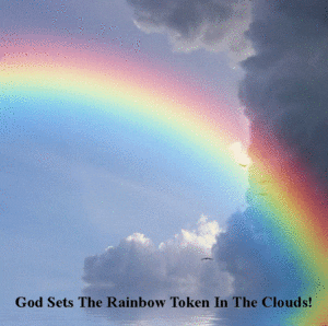 Rainbow Token In Clouds