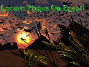 Locusts Plague On Egypt