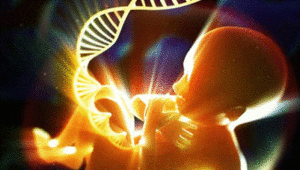God's DNA Blueprint Read By Scientists!