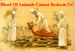 Blood Of Animals Cannot Redeem Us