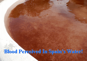 Blood Perceived In Spain's Water