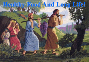 Food Healthy and Long Life