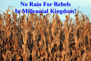 Millennial Kingdom No Rain