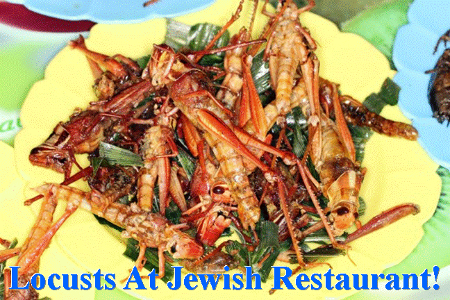 Locusts Fast Food In Israel