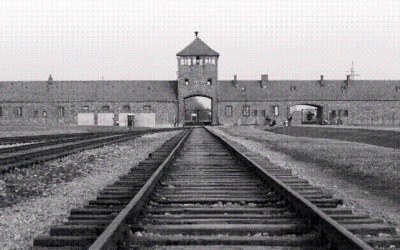 Jewish Holocaust Denier Convicted